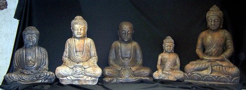 Y887, Y829, Y810, Y868, Y837.JPG