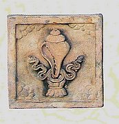 E512Conch Shell 8 x 8 in..jpg