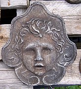 HD15 Angel Face 7 in.JPG