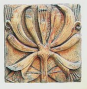 FN31 Honeysuckle 8x8 in..jpg