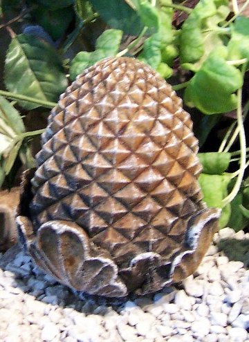 Y5068 Pineapple 4 in..JPG