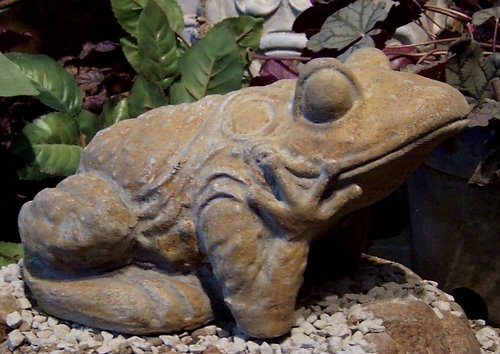 Y3786 Spotted Frog 7 in..JPG